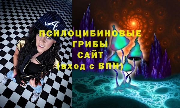 соль курить ск Бородино